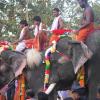 When elephant pooram ends